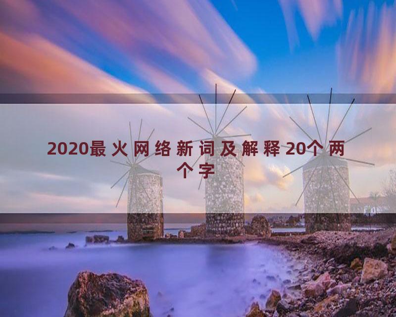 2020最火网络新词及解释20个两个字