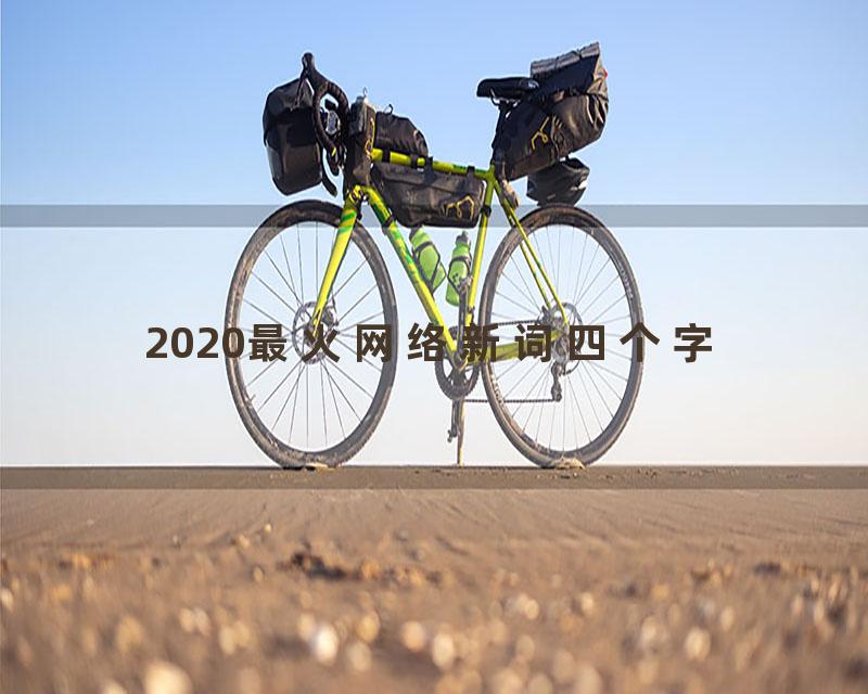 2020最火网络新词四个字