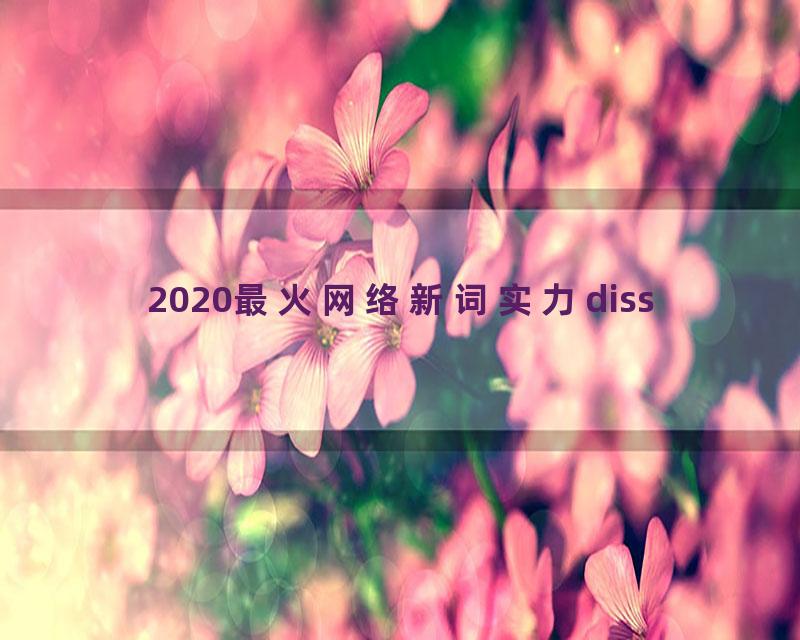 2020最火网络新词实力diss