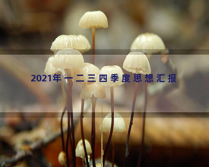 2021年一二三四季度思想汇报