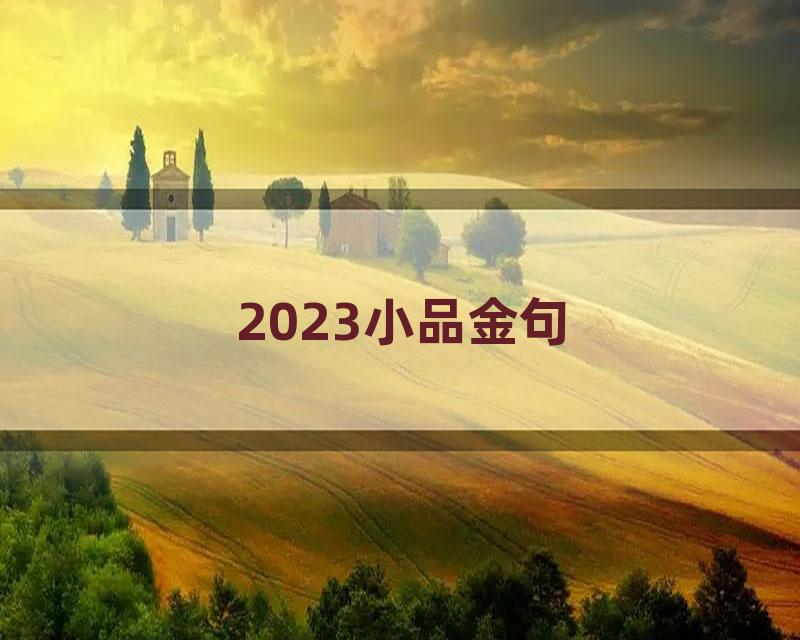 2023小品金句