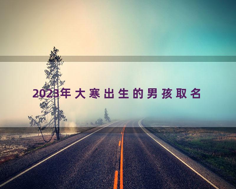 2023年大寒出生的男孩取名