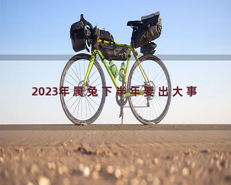 2023年属兔下半年要出大事