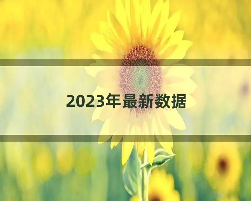 2023年最新数据