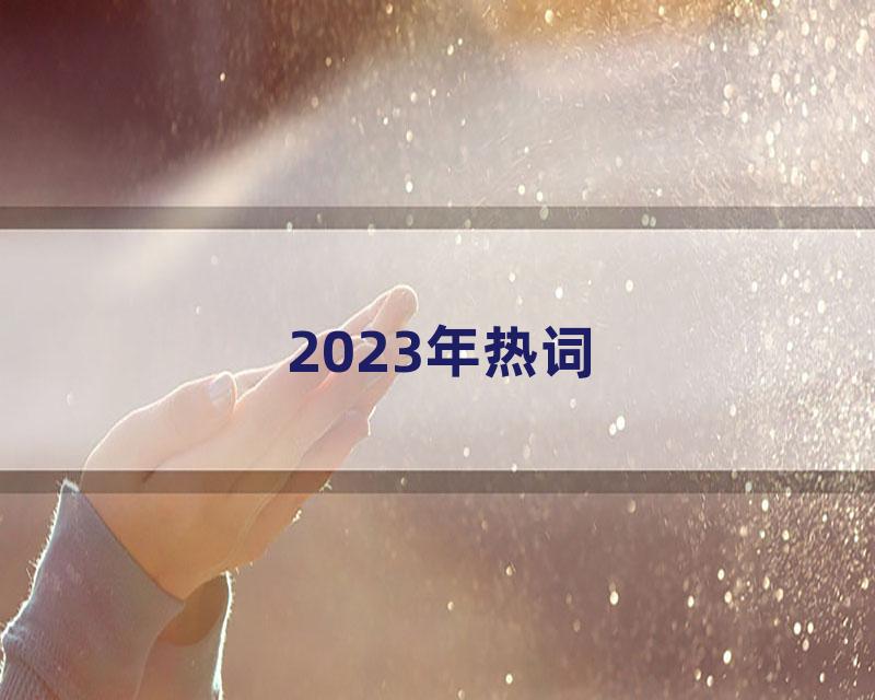 2023年热词