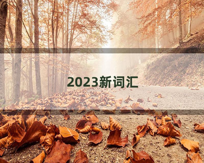 2023新词汇