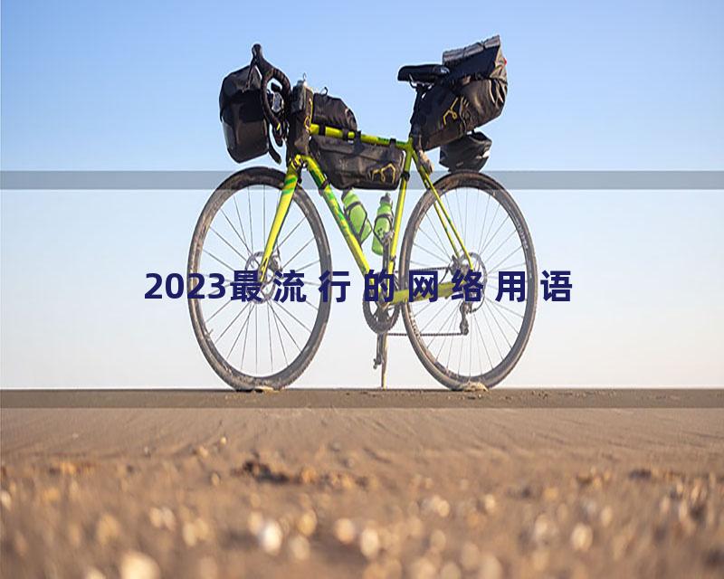 2023最流行的网络用语