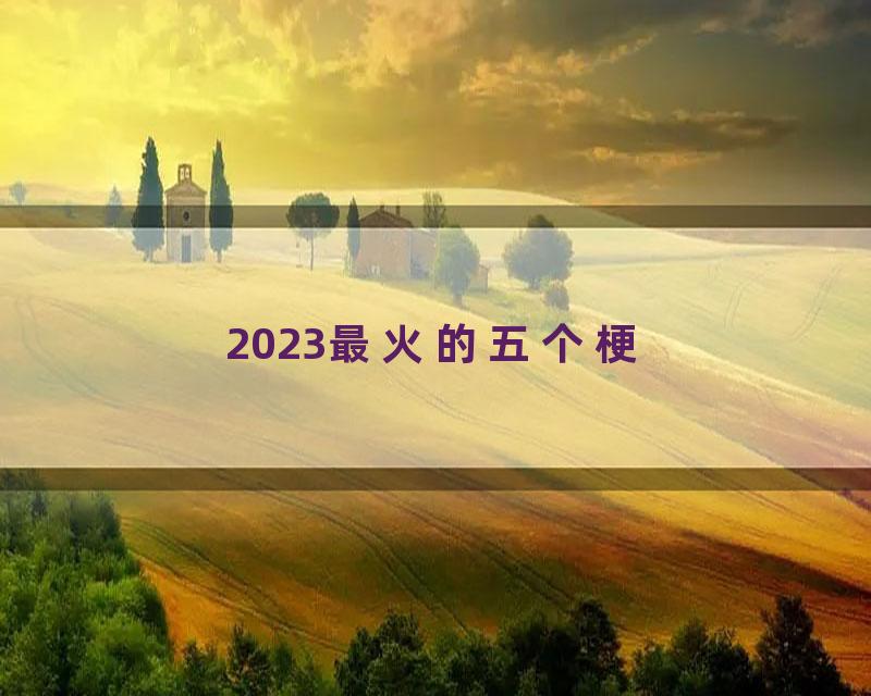 2023最火的五个梗