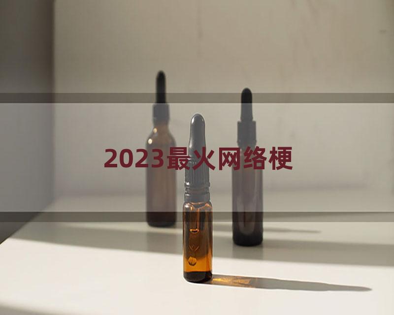 2023最火网络梗