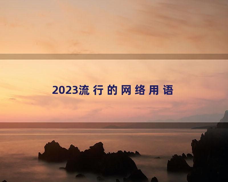 2023流行的网络用语