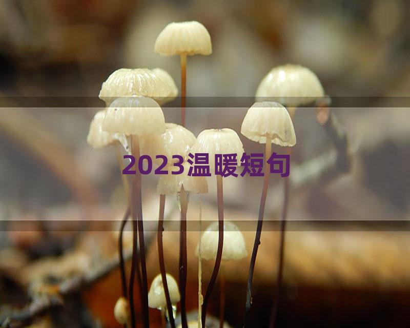 2023温暖短句