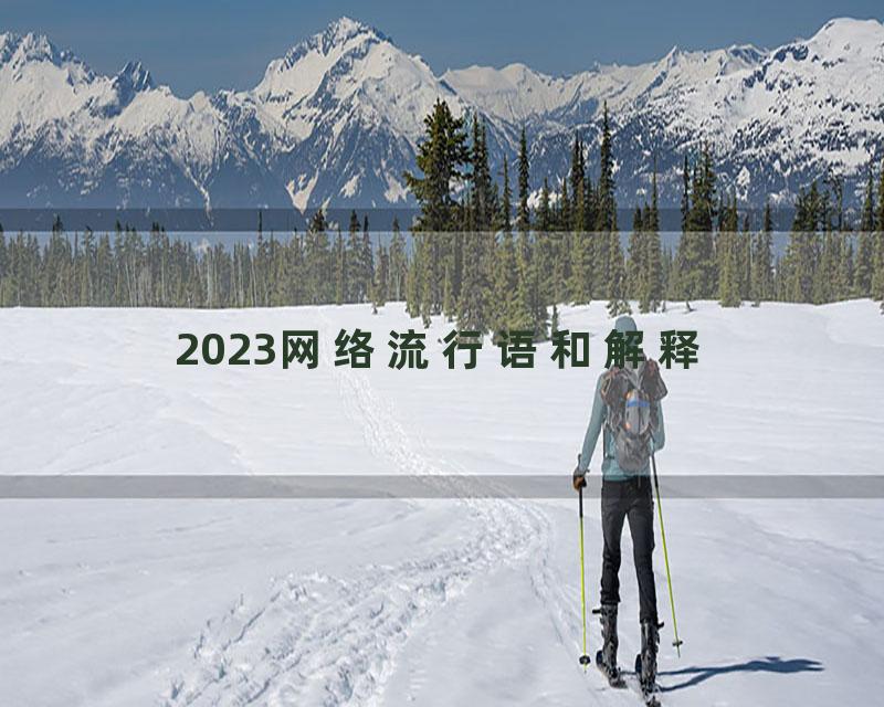 2023网络流行语和解释