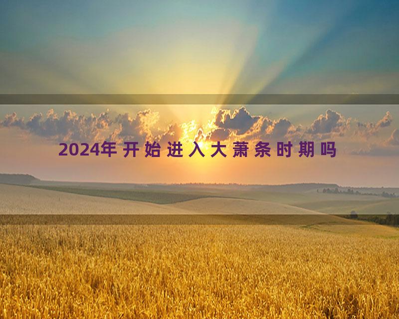 2024年开始进入大萧条时期吗