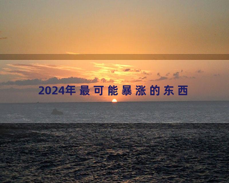 2024年最可能暴涨的东西