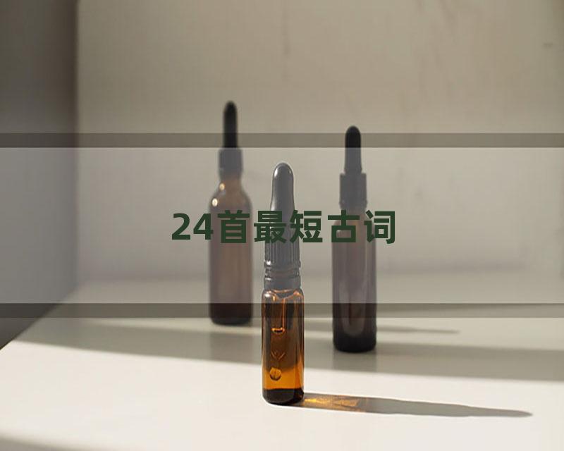 24首最短古词