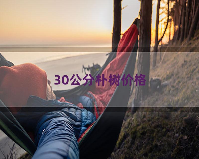 30公分朴树价格