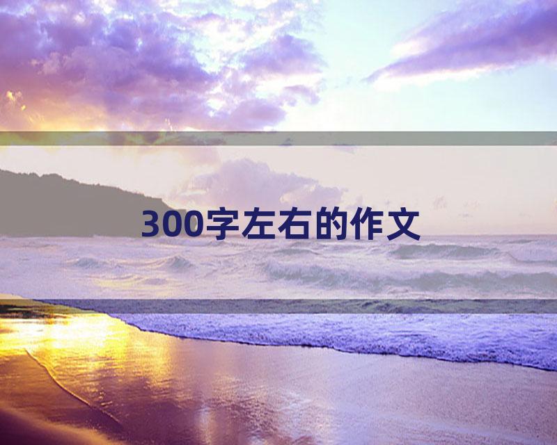 300字左右的作文