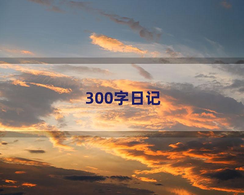 300字日记