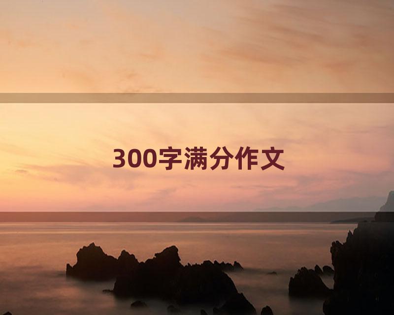 300字满分作文