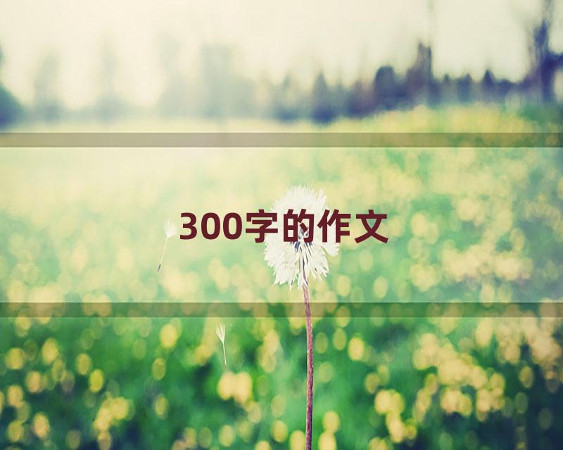 300字的作文