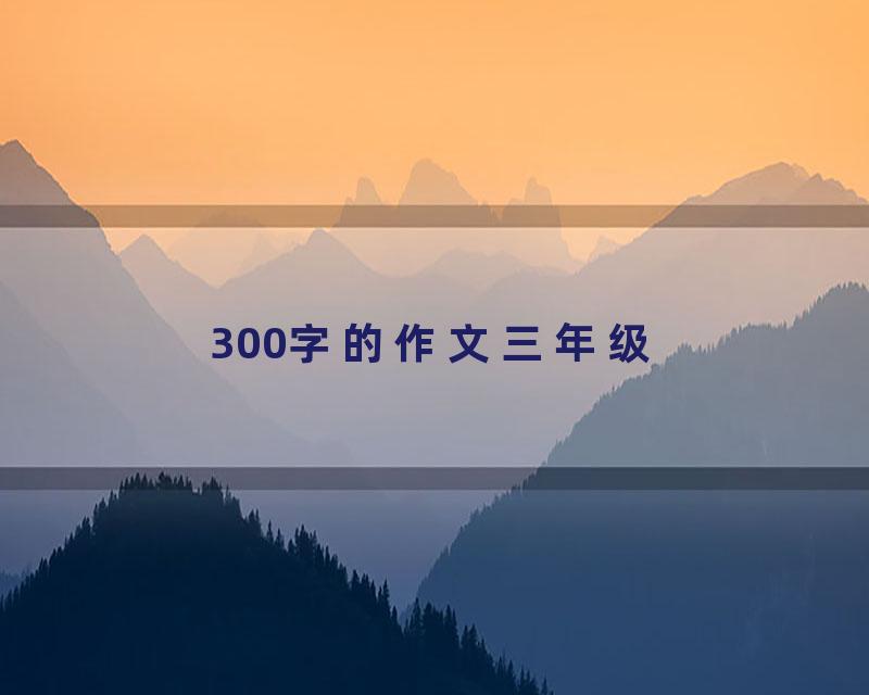 300字的作文三年级