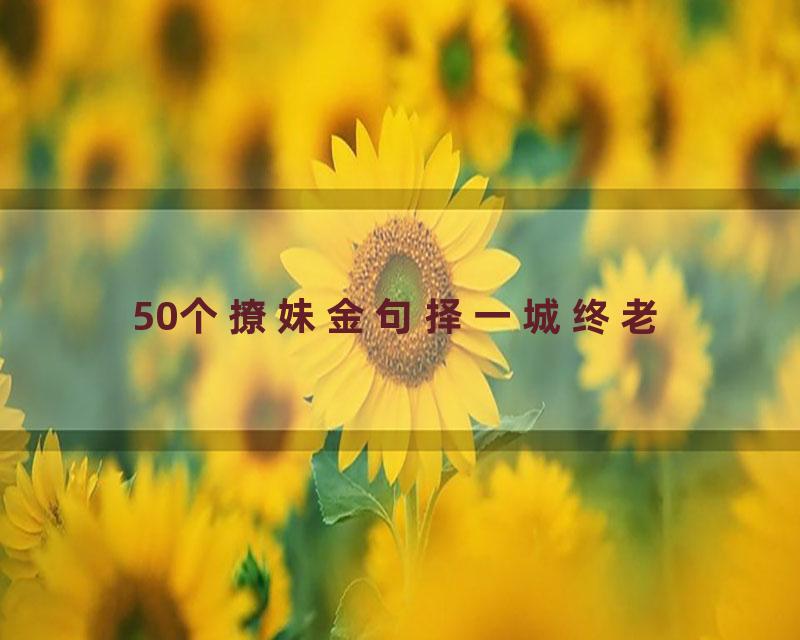 50个撩妹金句择一城终老