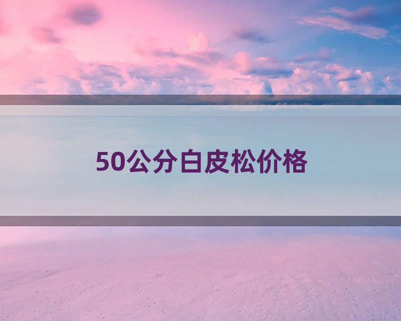 50公分白皮松价格