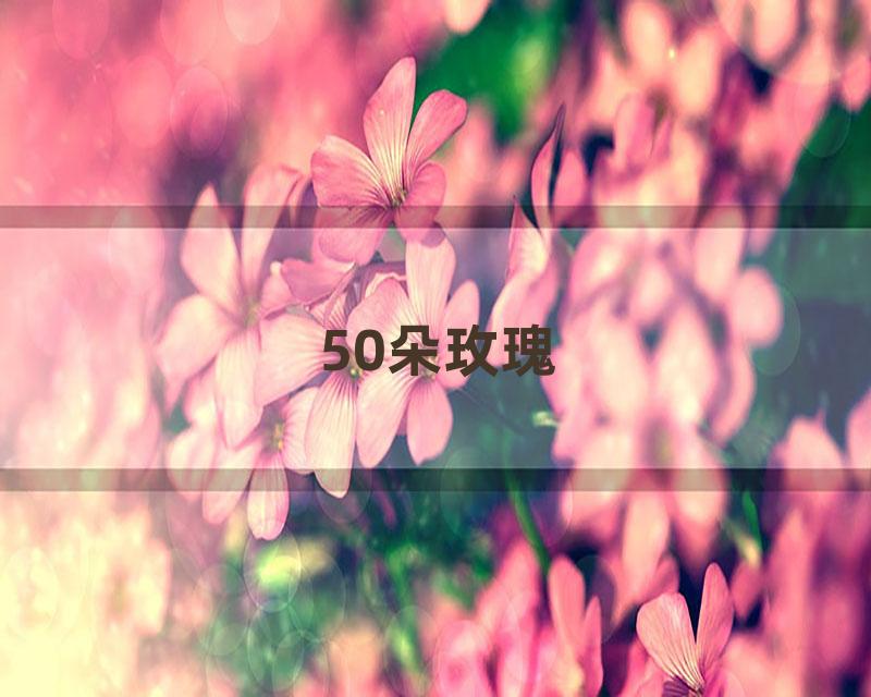 50朵玫瑰