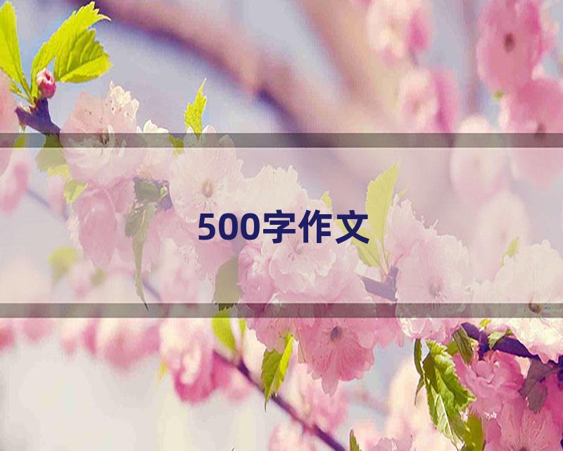 500字作文