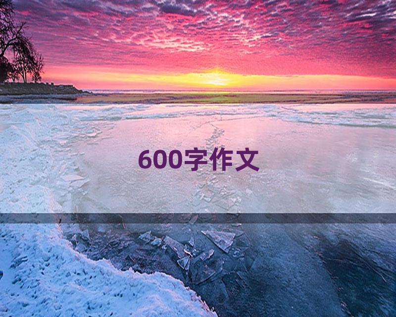 600字作文