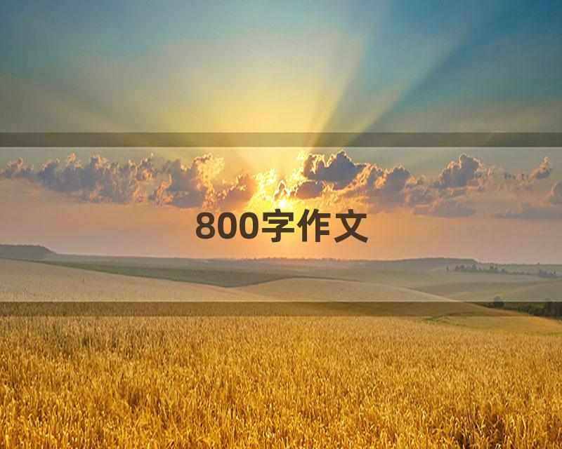 800字作文