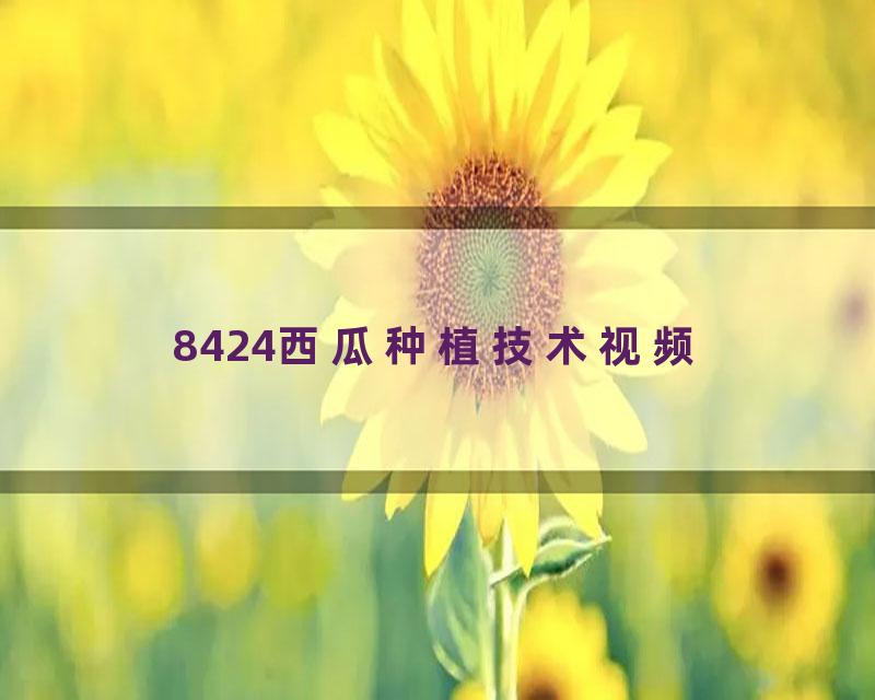 8424西瓜种植技术视频