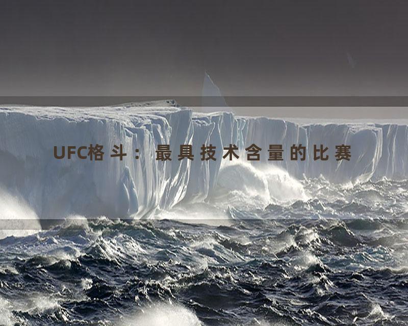 UFC格斗：最具技术含量的比赛