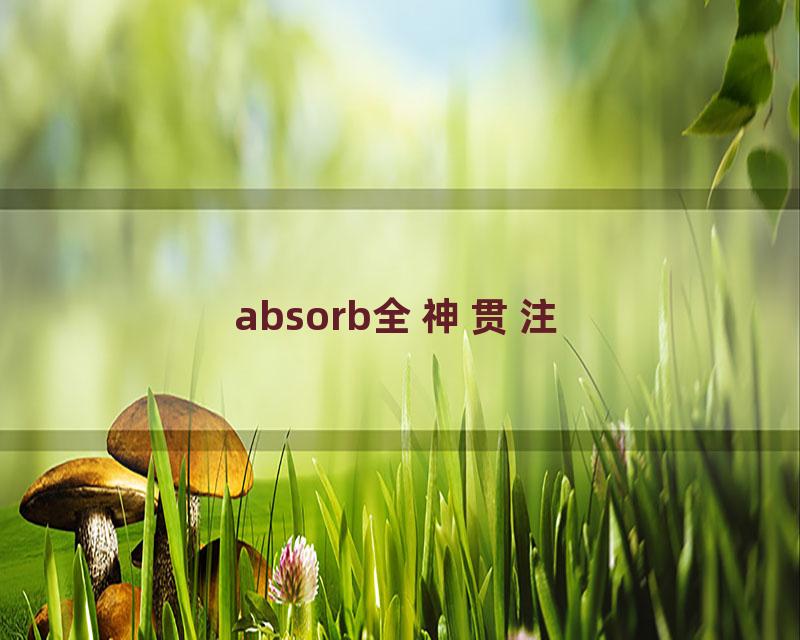 absorb全神贯注