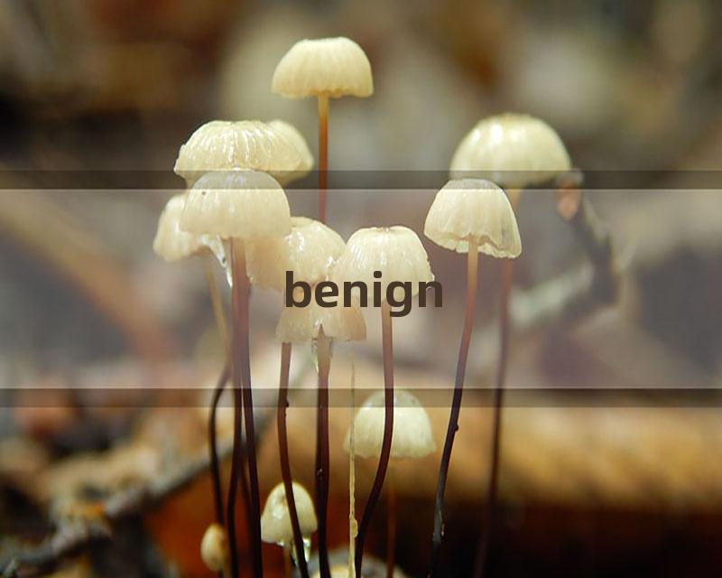 benign