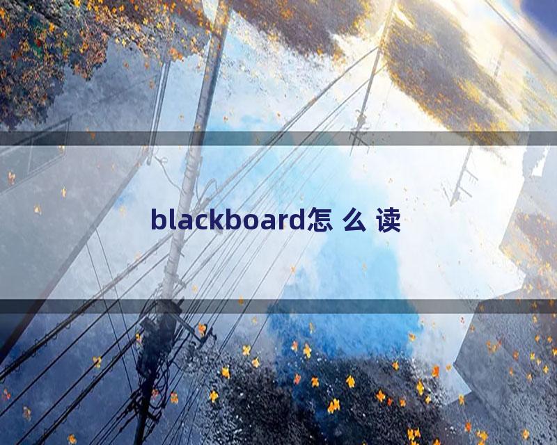 blackboard怎么读