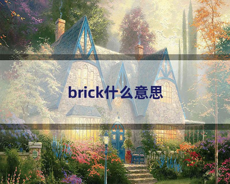 brick什么意思