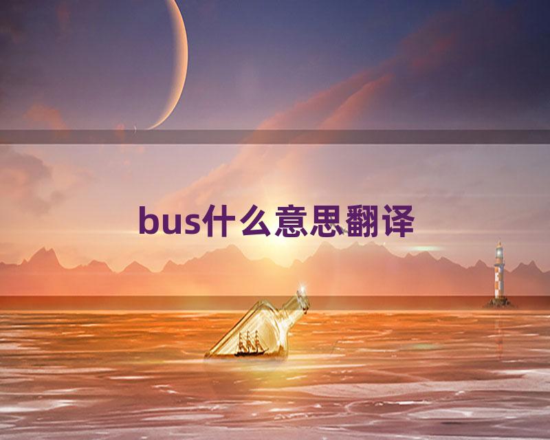 bus什么意思翻译