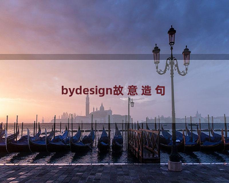 bydesign故意造句