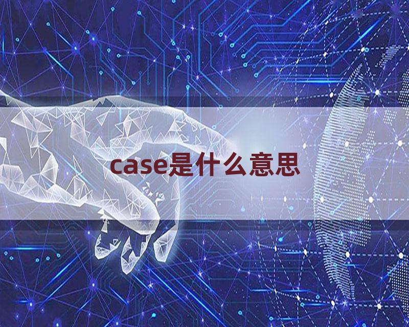 case是什么意思