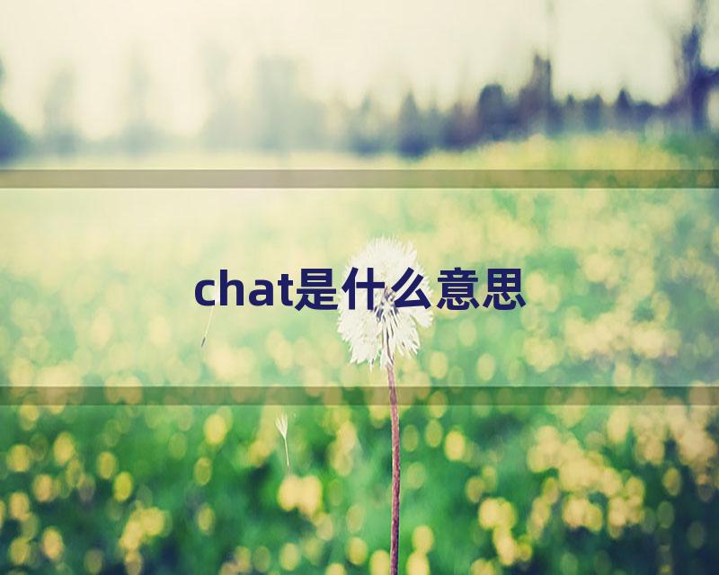 chat是什么意思