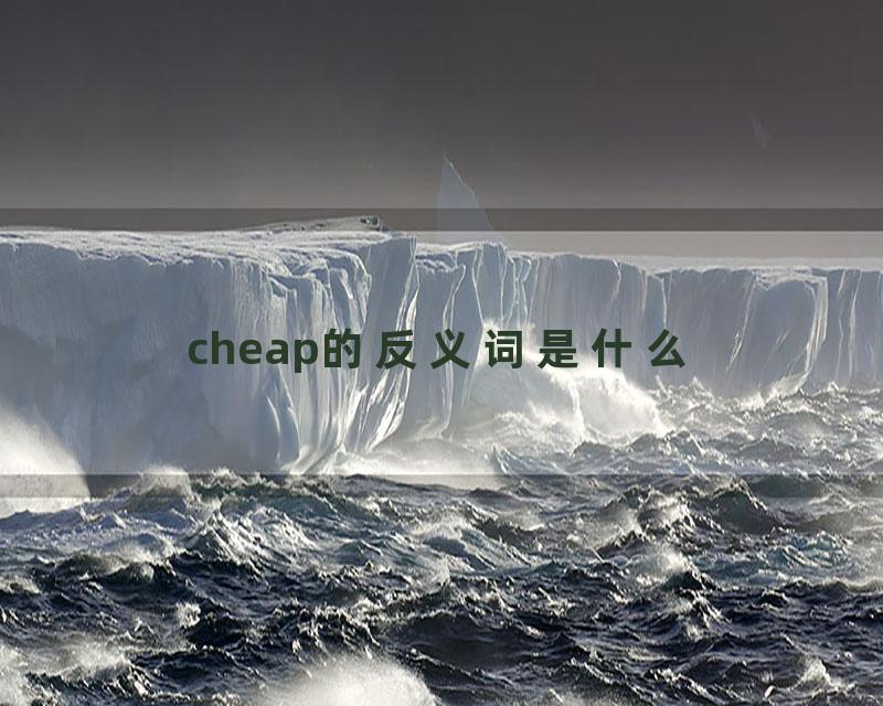 cheap的反义词是什么