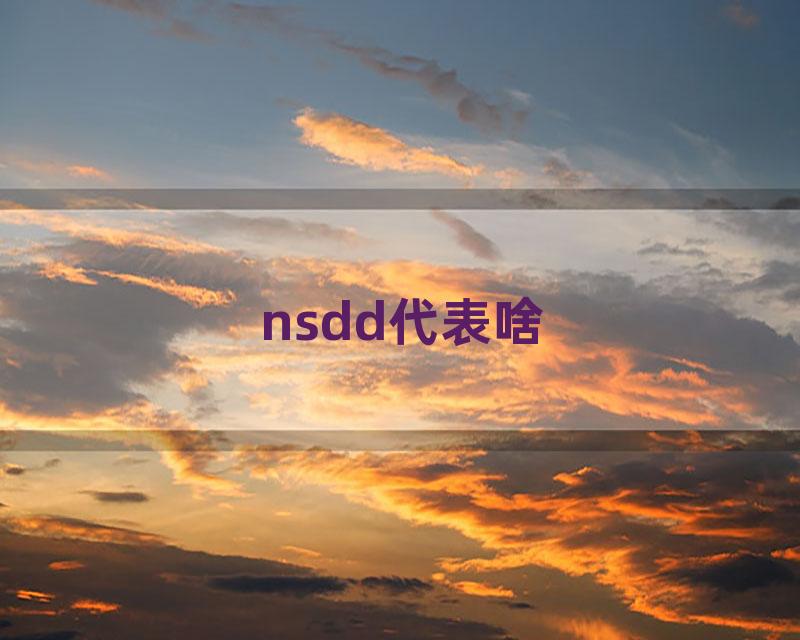 nsdd代表啥