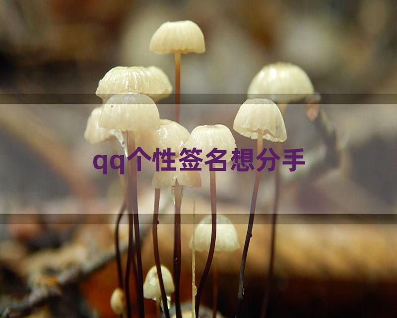 qq个性签名想分手